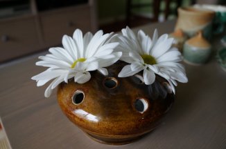 Flower frog vase